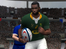 Kolisi3.png