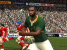 Kolisi1.png