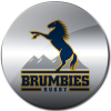 Brumbies.png Brumbies.png