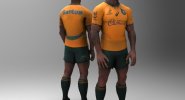 Australia B&I Lions tour.jpg