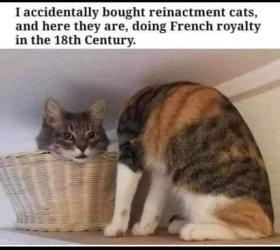 1784041211038.png 1784041211038.png