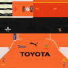 cheetahs_away_front.png