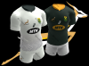 Springboks2018.PNG Springboks2018.PNG