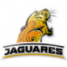 Jaguares